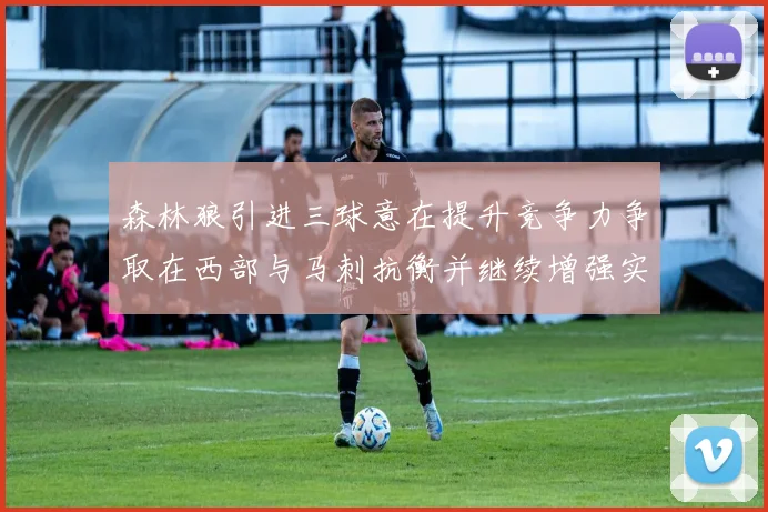 森林狼引进三球意在提升竞争力争取在西部与马刺抗衡并继续增强实力